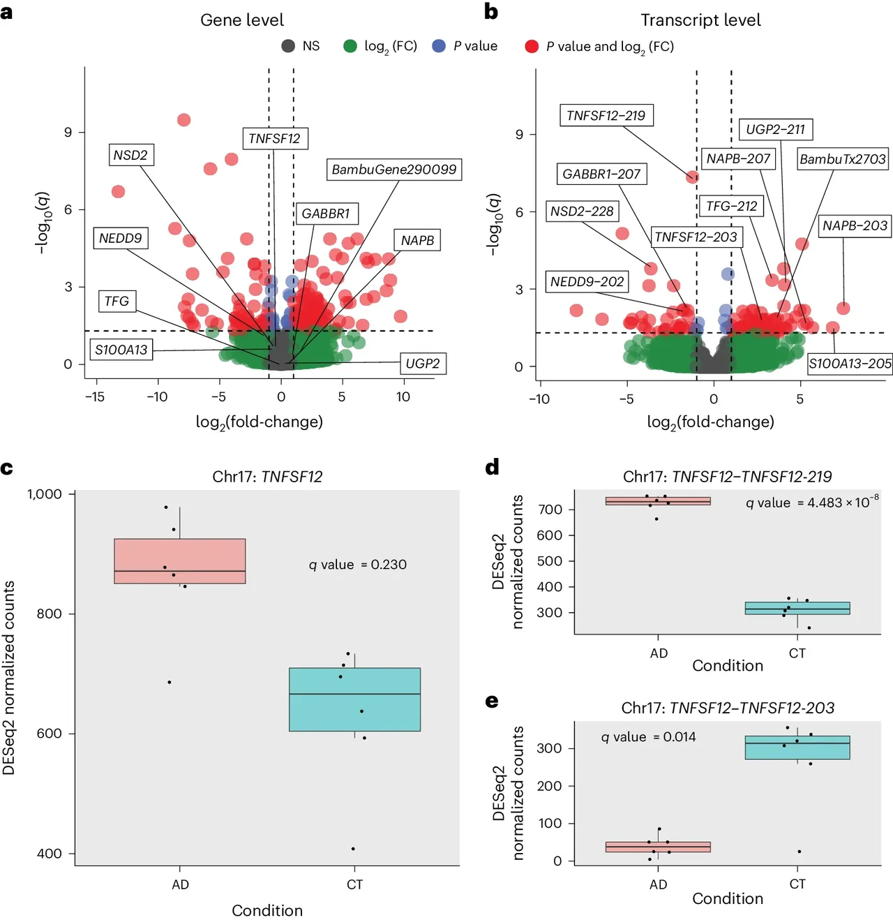RNA isoform analysis data from Aguzzoli Heberle et al.