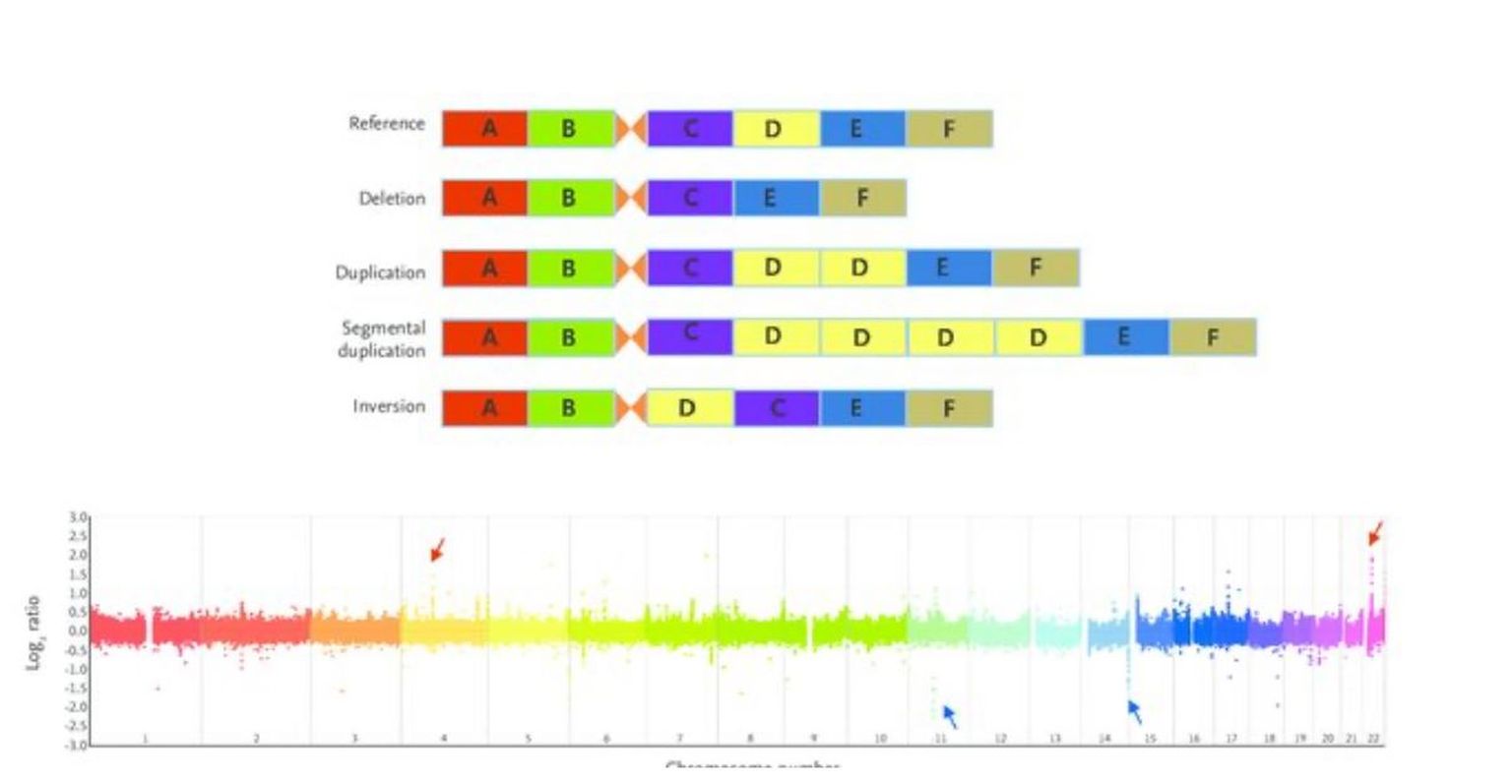 Third Generation Cytogenetic Analysis (TGCA): Potential Future Diagnostic Application of Long-Read Sequencing