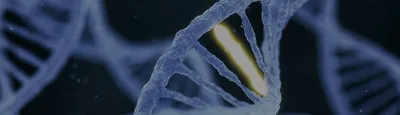 Monitoring the rate and variability of somatic genomic alterations using long-read sequencing