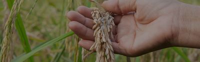 AGBT Ag  2024