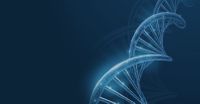 GAA-FGF14 ataxia is a frequently overlooked cause of sporadic adult-onset ataxia