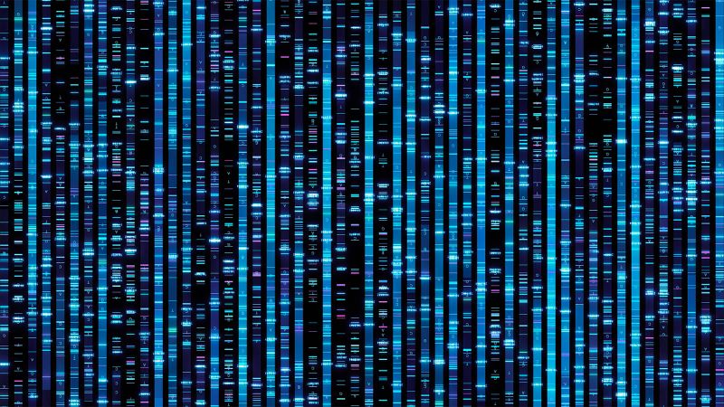 DNA sequence pattern