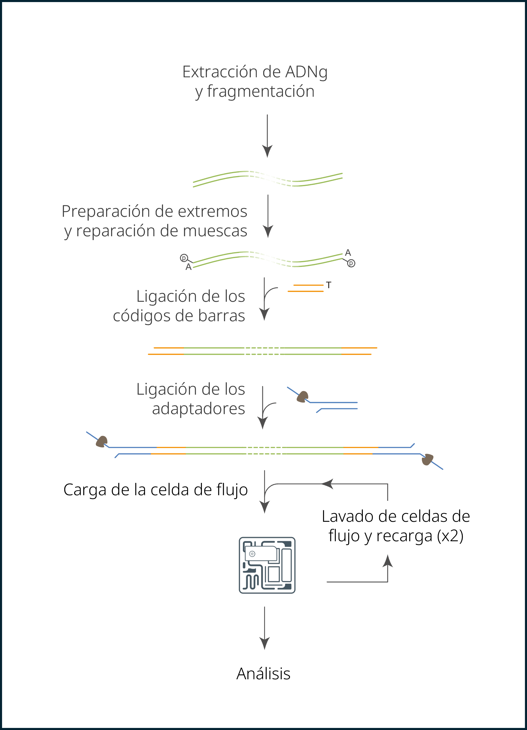 ES - PGx AS workflow