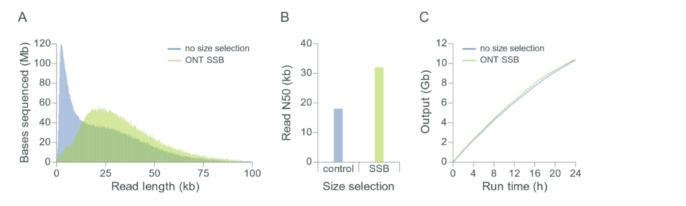 Size selection