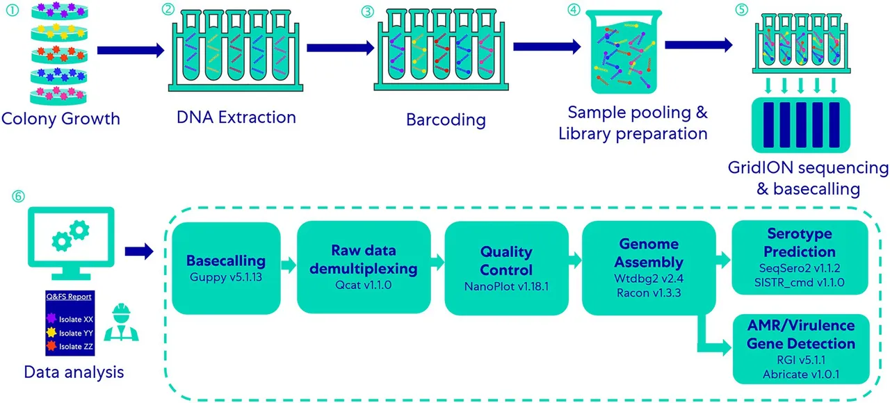 A workflow showing an overview of the entire WGS method
