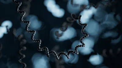 RNA long read