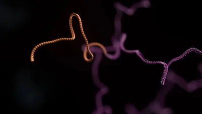 Transcriptomics