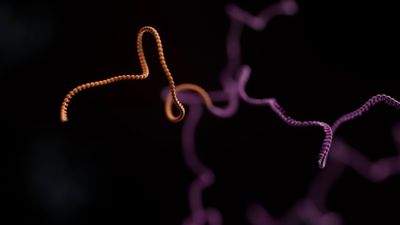 Transcriptomics