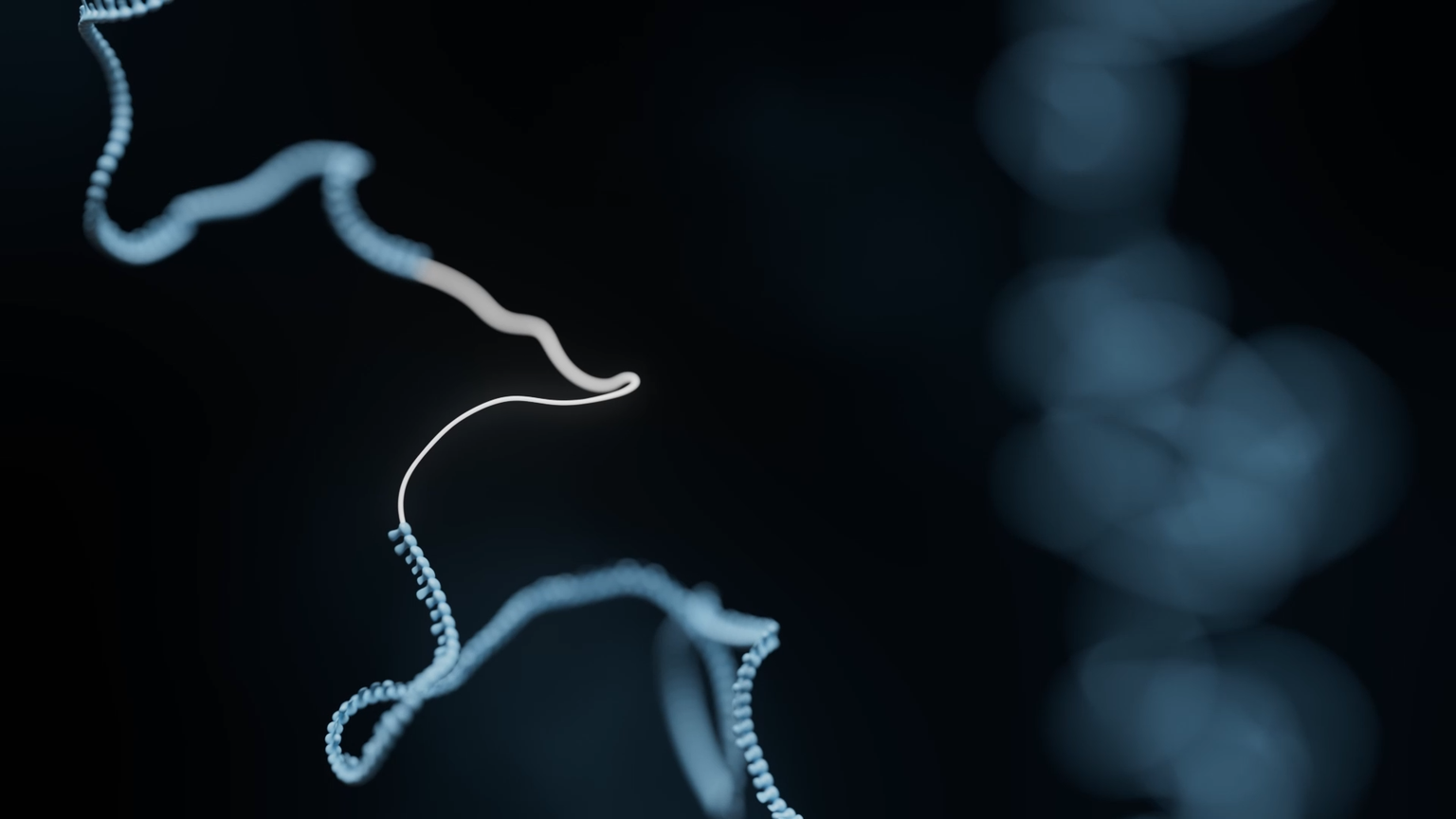 Webinar: Rapid, comprehensive AAV genomic profiling made simple