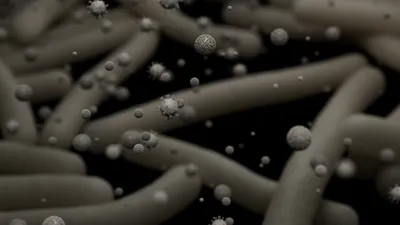 Microbiology_still