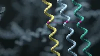 Long-read sequencing and adaptive sampling solve complex diagnostic conundrums