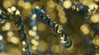 Case study: is the end to the diagnostic odyssey within reach?