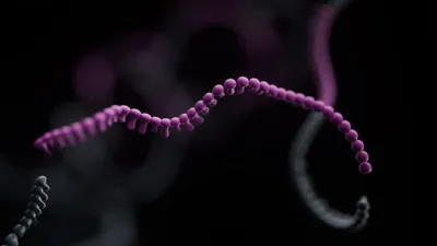 Transcriptomics