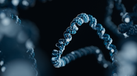 Dysregulation of viral and human genomes at HPV integration events