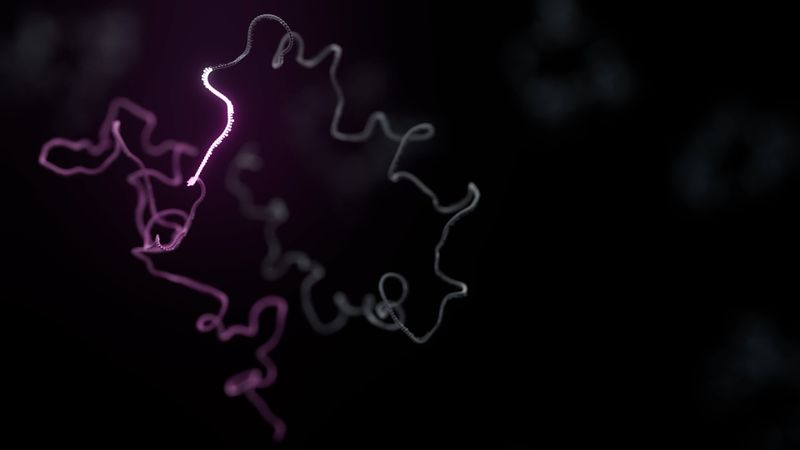 ONT_Transcriptomics_FINAL_STILLS_11