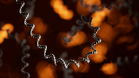 Nanopore-based HLA testing: a rising star driving real-world clinical implementation in pharmacogenomics