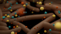 Case study: unlocking the abundance of information within environmental microbiomes