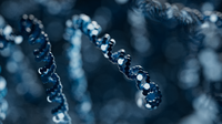 Application note: automation of the Oxford Nanopore Ligation Sequencing Kit XL V14 on the HAMILTON NGS STARlet generates high-quality DNA libraries fo