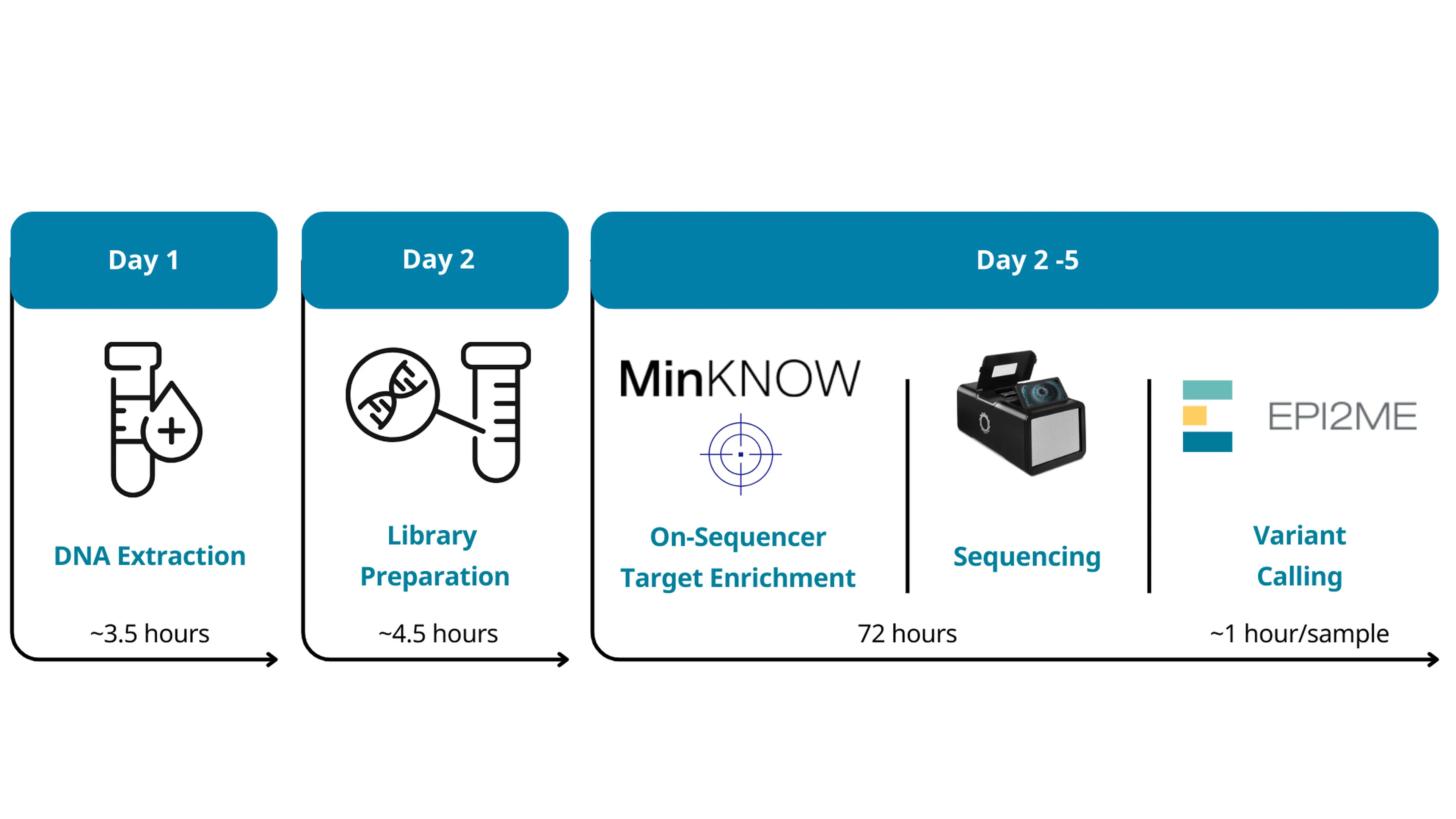 HCP workflow figure