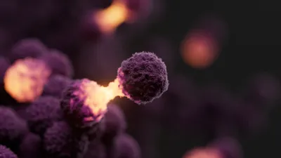 Cancer cell