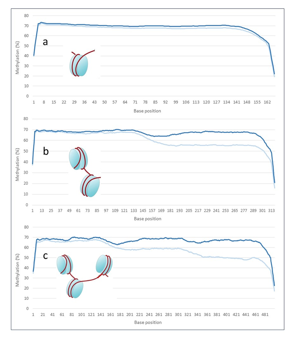 Figure 2 cfDNA knowhow