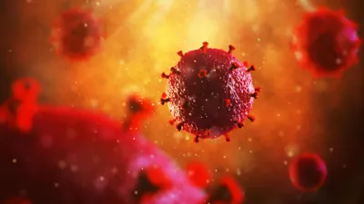 HIV render