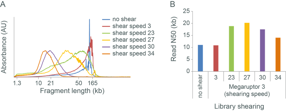DNA fragmentation comparison DNA fragmentation comparison