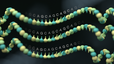 Yellow and green bases showing repeat DNA strands