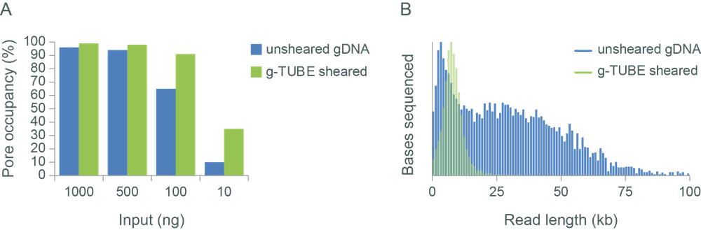 DNA fragmentation input output DNA fragmentation input output