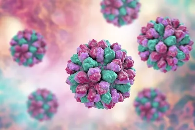 Identifying intra-hospital Norovirus GII transmission using whole-genome sequencing