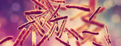Diagnostic value of nanopore sequencing of cerebrospinal fluid samples in tuberculous meningitis
