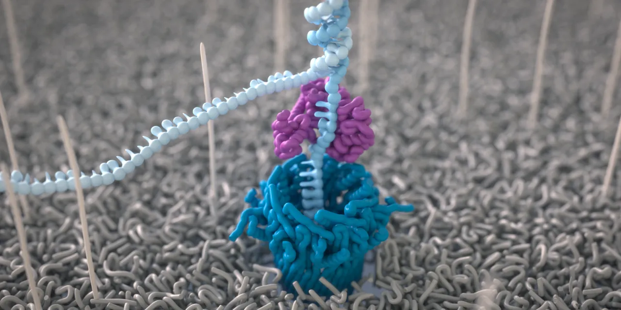 Science unlocked: publication picks from November 2024