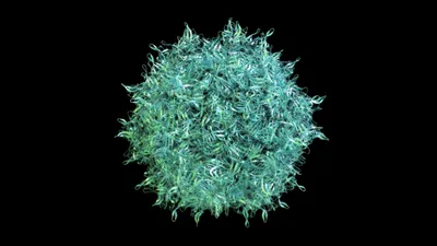 Webinar: rAAV genome sequencing uncovers transgene integrity and packaging impurities