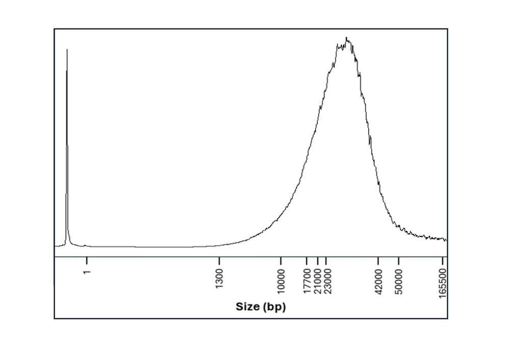 SFE and MR frag analyser human blood variant e2e SFE and MR frag analyser human blood variant e2e
