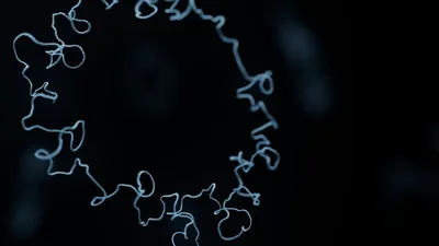plasmid DNA
