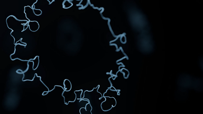 plasmid DNA