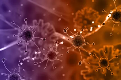 Small viruses on purple orange cell background