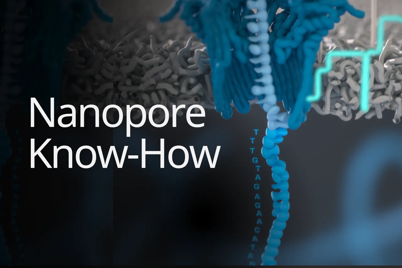 Plasmid sequencing: revealing the whole picture, one base at a time