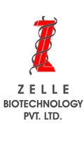 Zelle, India