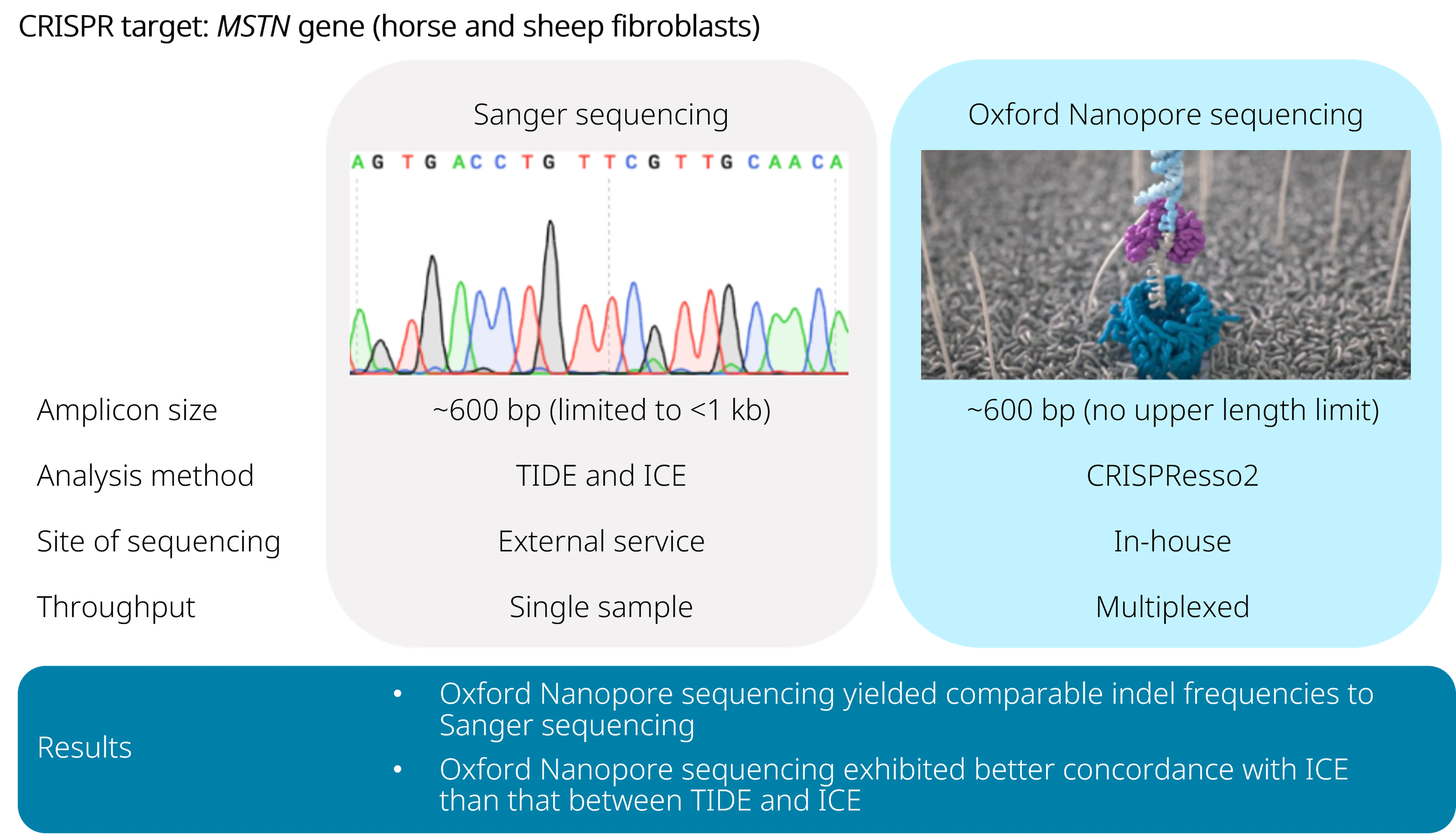 A visual abstract for McFarlane, Polanco, and Bogema (2024)
