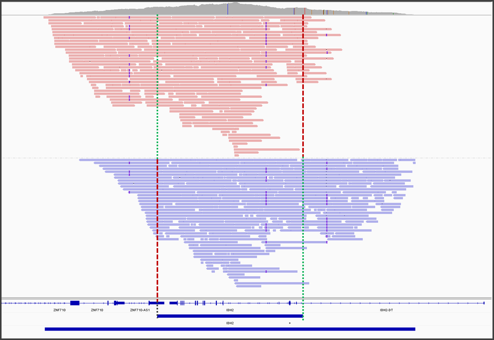 7 AG Strand IGV directional