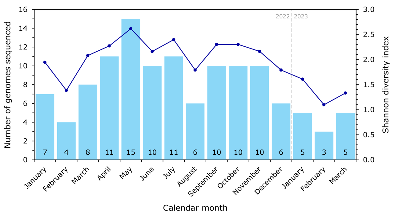 Graph showing the number and Shannon diversity index of Klebsiella pneumoniae isolates sequenced monthly at Wellington Regional Hospital.
