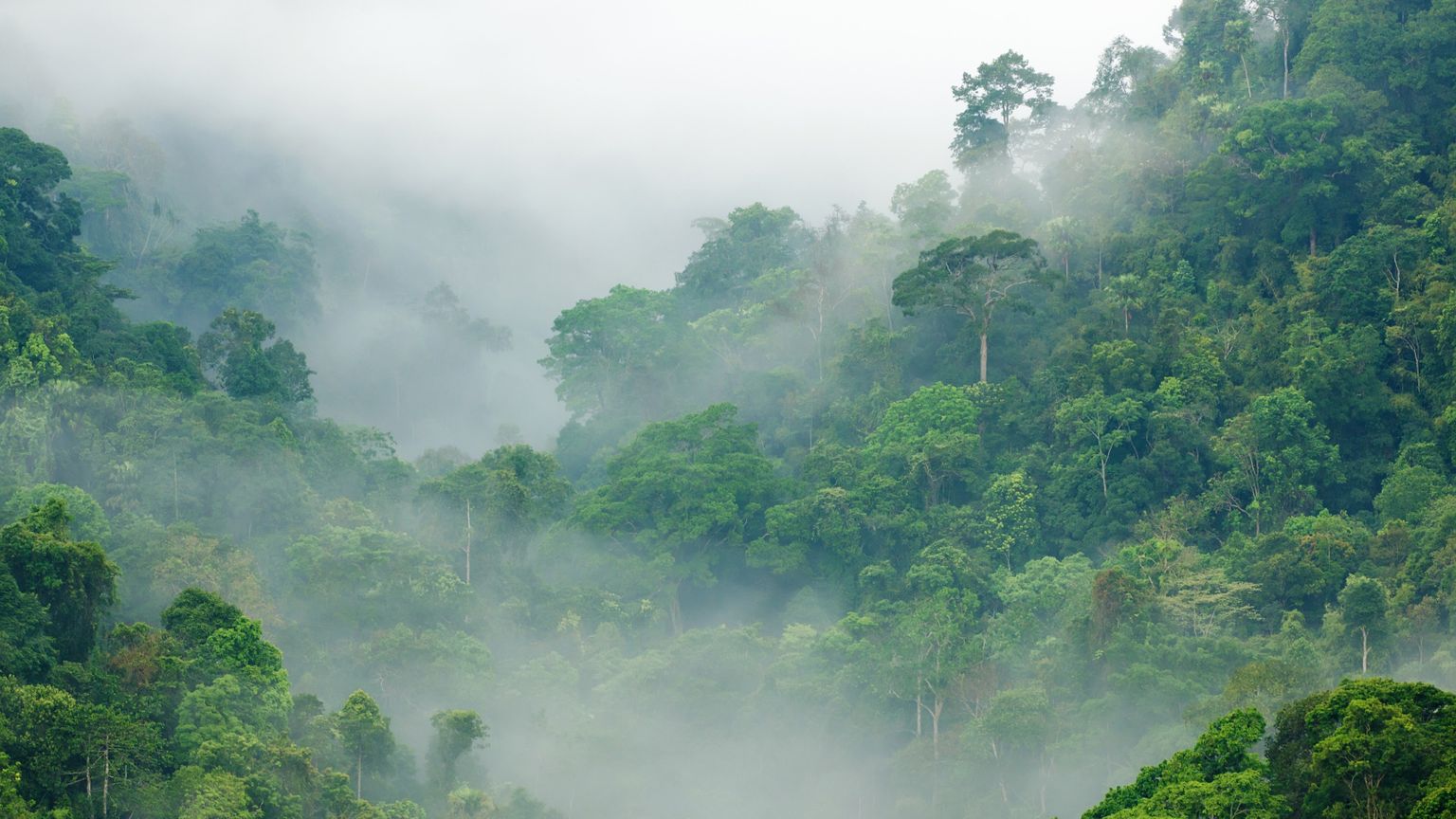 White paper: plant, animal, and environmental sequencing