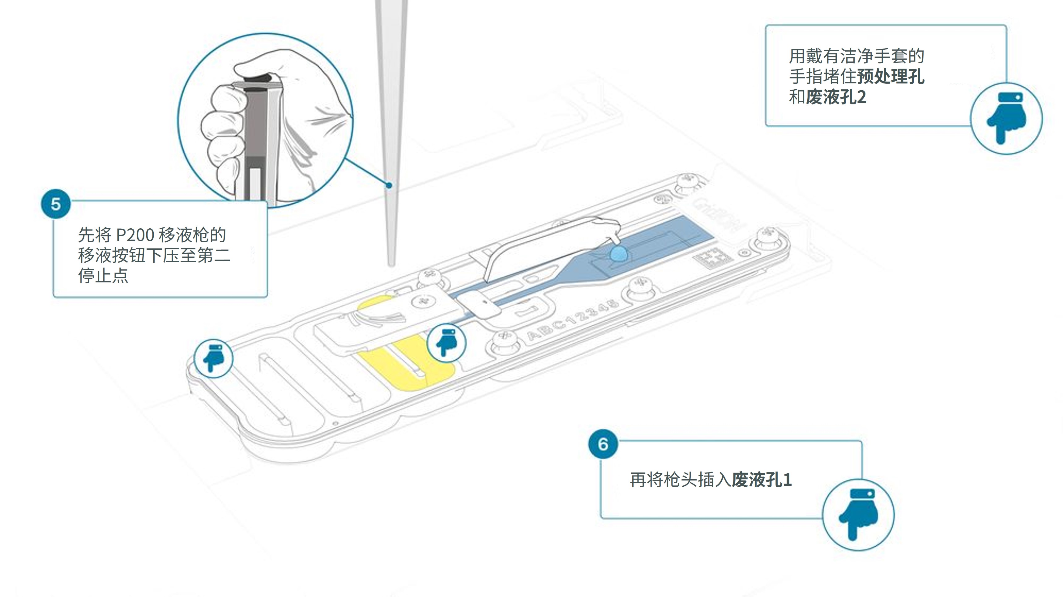 Chinese_GridION Step 5 6