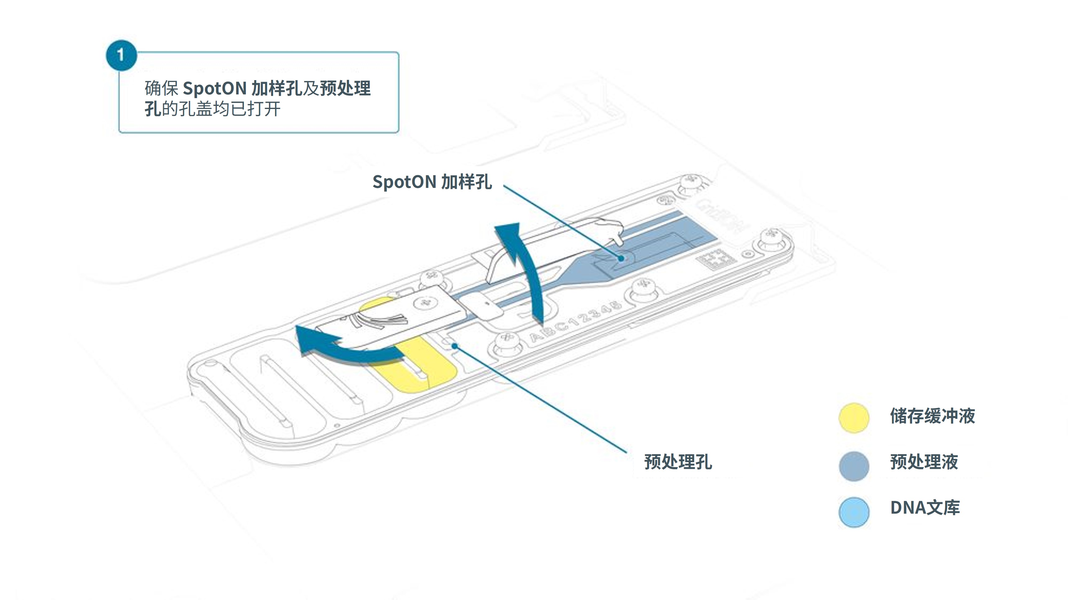 Chinese_GridION Step 1