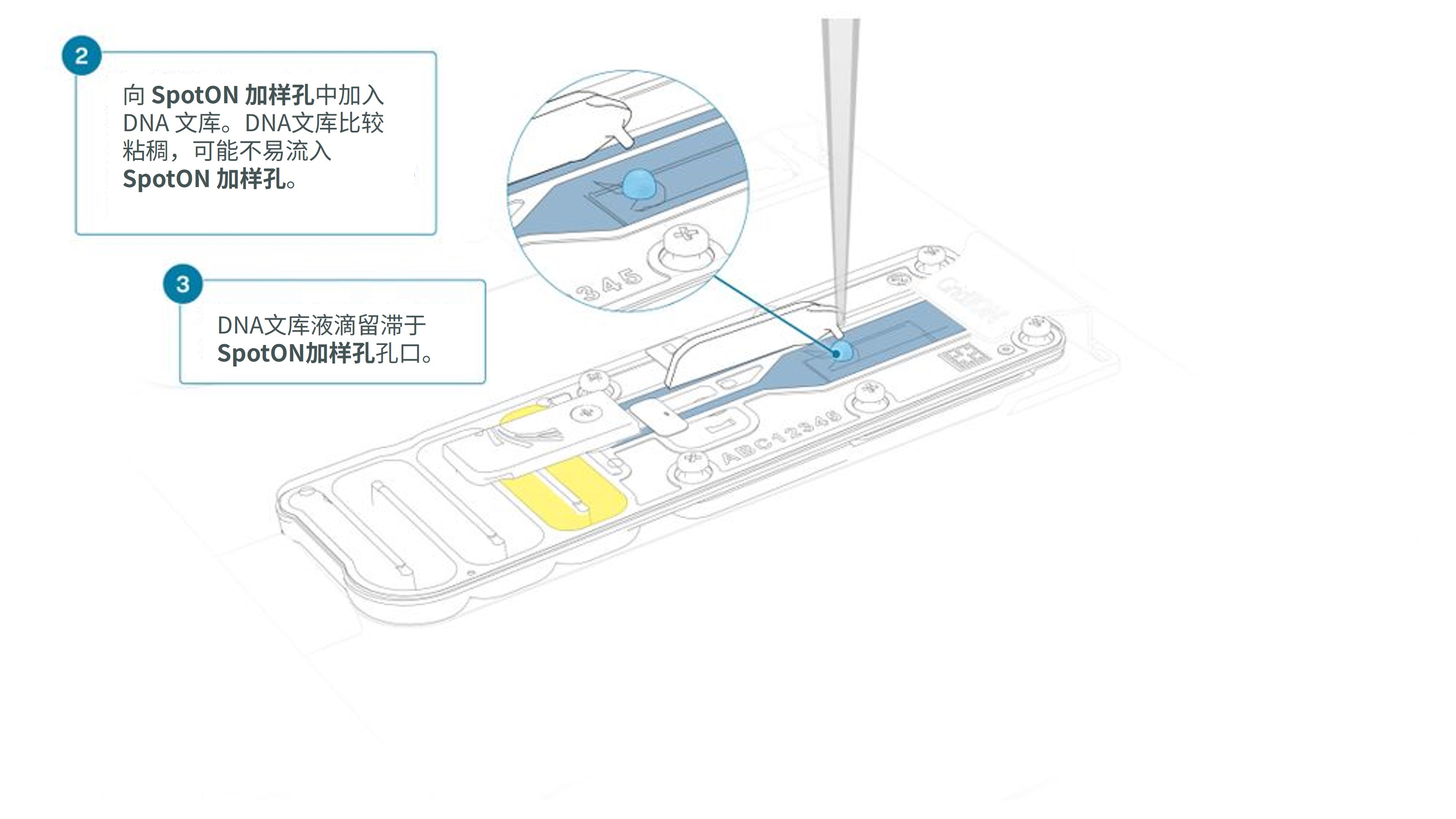 Chinese_GridION ULK lib load