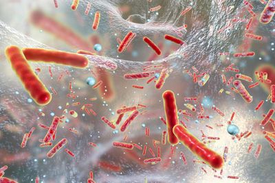 Antibiotics acting on bacterial biofilm