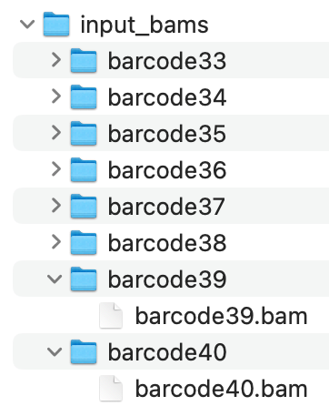 Input files Input files