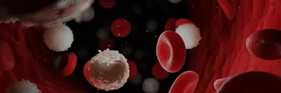 Comparison of nanopore with Illumina whole genome assemblies of the Epstein-Barr virus in Burkitt lymphoma