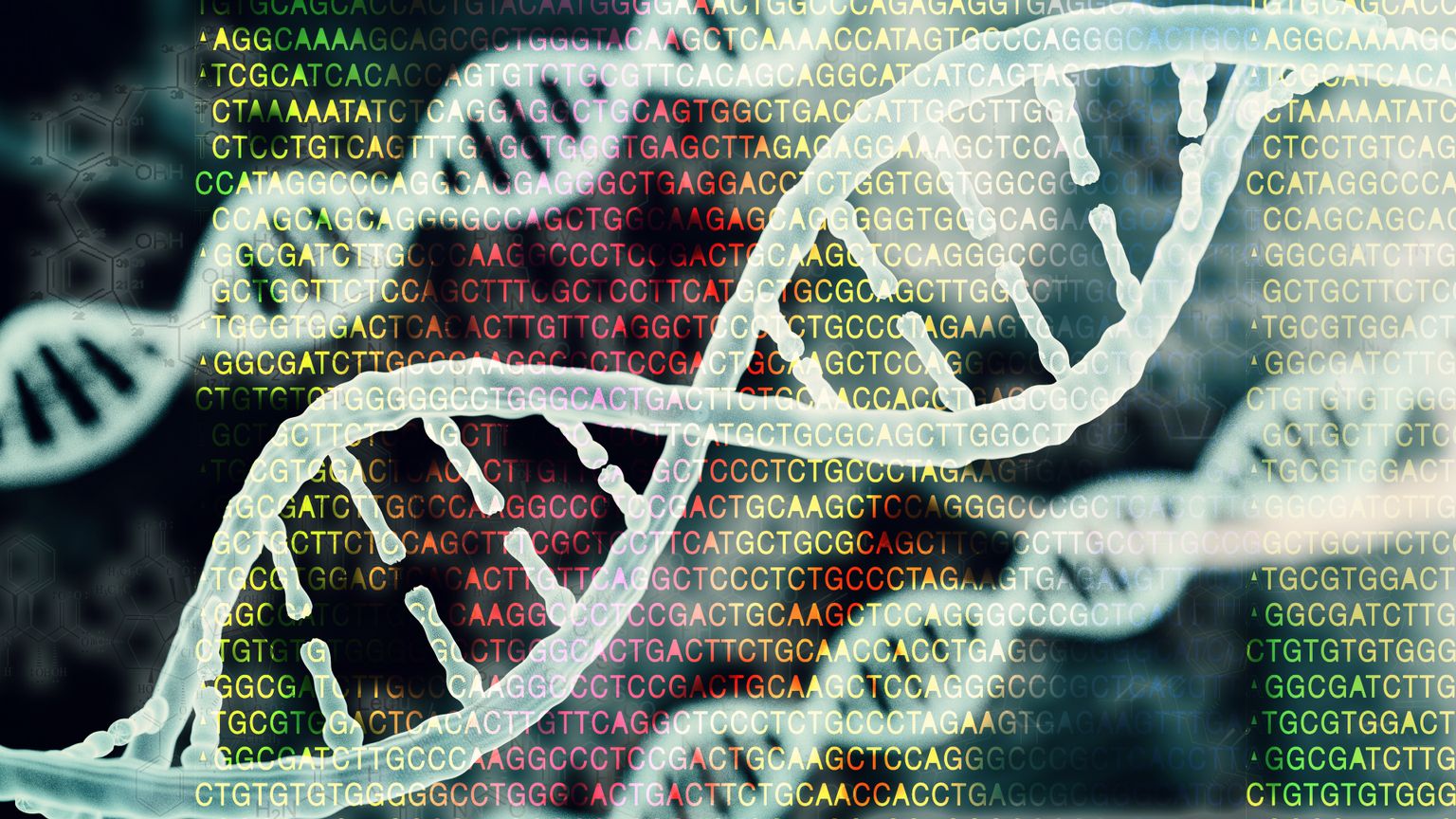 Biotechnology bioinformatics